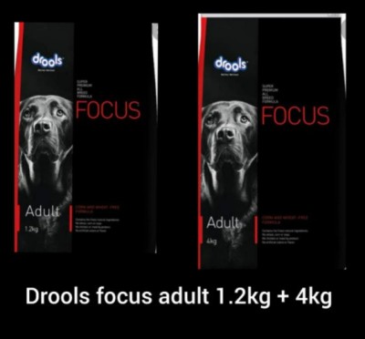 Drools Drools focus adult 4kg + focus 1.2 kg Chicken 5.2 kg (2x2.6 kg) Dry Adult Dog Food