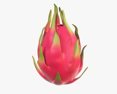 Aro Dragon Fruit, Pitaya Seed(20 per packet)