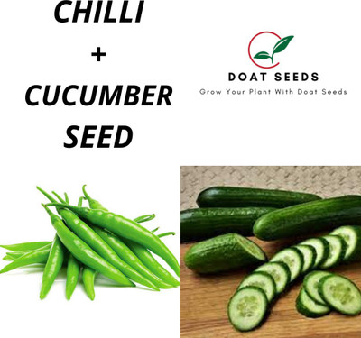 Doat Chilli, Cucumber Seed(100 per packet)