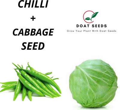Doat Cabbage, Chilli Seed(100 per packet)