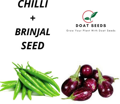 Doat Chilli, Brinjal Seed(100 per packet)