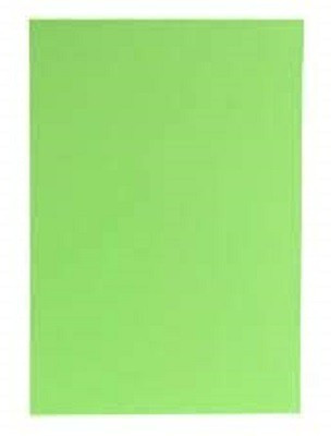 Eclet A4 20 Sheet Light green Color Paper (20 Sheets) (180-240 GSM) Double side color A4 180 gsm Coloured Paper(Set of 1, Light Green)