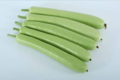 UGRA Bottle Gourd Ghiya Seed(40 per packet)