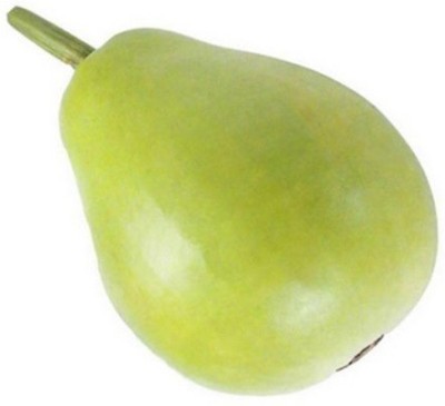 UGRA Bottle Gourd Gol Ghiya Seeds Seed(150 per packet)