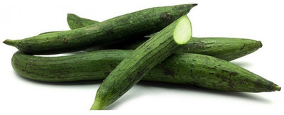 UGRA SPONGE GOURD Seed(1000 per packet)