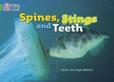 Spines, Stings and Teeth(English, Paperback, Belcher Angie)