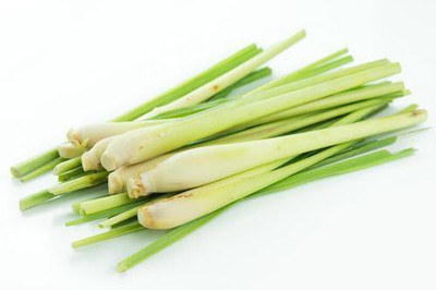 Paudha Lemon Grass Seed(40 per packet)