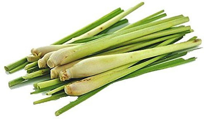 Mozette Lemon Grass Seed(17 per packet)