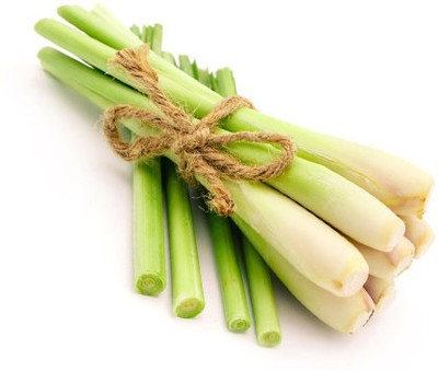 Mozette Lemon Grass Seed(32 per packet)