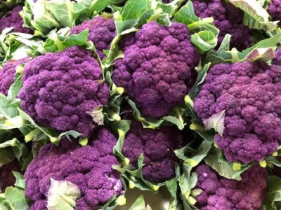 VibeX ® VLR-320 PURPLE CAULIFLOWER (GOBI) VEGETABLE seeds Seed(200 per packet)