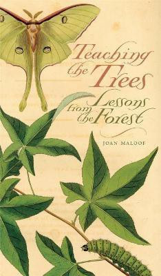 Teaching the Trees(English, Paperback, Maloof Joan)