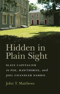 Hidden in Plain Sight(English, Hardcover, Matthews John T.)