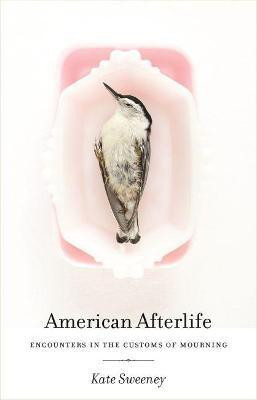 American Afterlife(English, Electronic book text, Sweeney Kate)