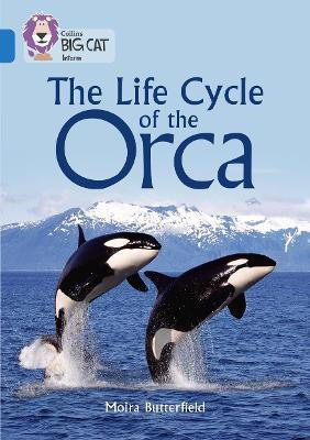 The Life Cycle of the Orca(English, Paperback, Butterfield Moira)