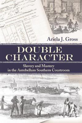 Double Character(English, Paperback, Gross Ariela J.)