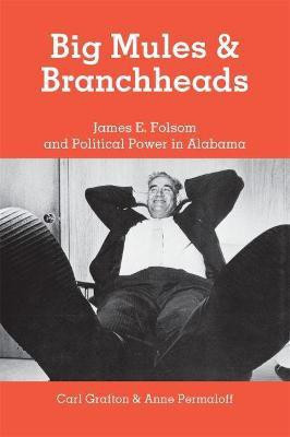 Big Mules and Branchheads(English, Paperback, Permaloff Anne)