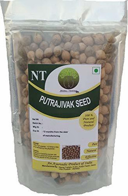 NEERAJ Putrajeevak Seed, Putrajivak Seeds, Putr Jivak Beej, Putrajeevak beej, Putranjivi -100Gm Seed(100 g)