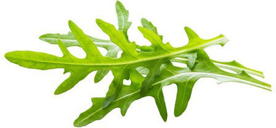 Mozette Rocket Leaf Seed(27 per packet)