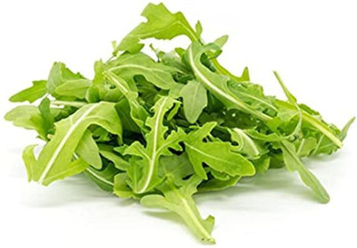 Paudha Rocket Leaf Seed(40 per packet)