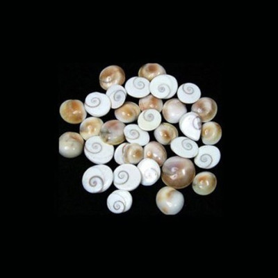 Senroar Diwali Puja Shree Laxmi Gomti Chakra Decorative Showpiece (Pack of 21) Decorative Showpiece  -  1 cm(Stone, White)