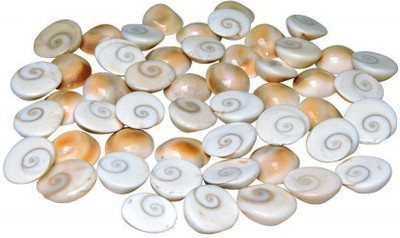 Senroar Gomati Chakra of 1 cm Stoneware Yantra (Pack of 21) Decorative Showpiece  -  1 cm(Stone, White)