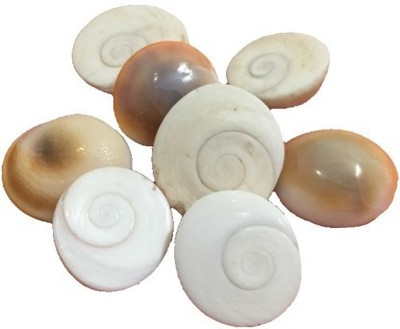 Senroar Diwali Puja Shree Laxmi Gomti Chakra Decorative Showpiece (Pack of 11) Decorative Showpiece  -  1 cm(Stone, White)