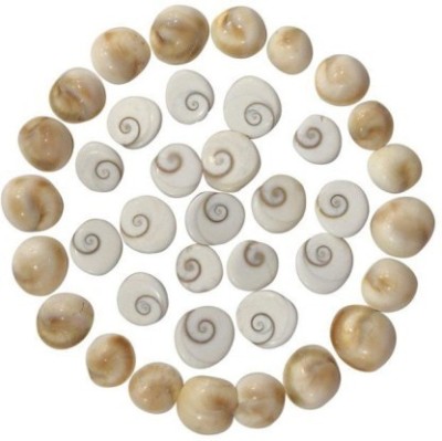 Senroar Diwali Puja Shree Laxmi Gomti Chakra Decorative Showpiece (Pack of 10) Decorative Showpiece  -  1 cm(Stone, White)