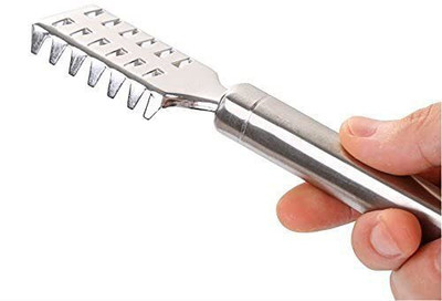 CRIYALE Stainless Steel Fish Scale Remover Scale Skin Cleaner Fish Scaler (pack of 1) Fish Scaler(Pack of 1)