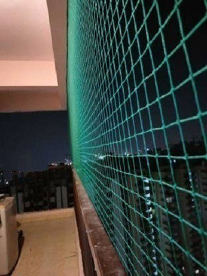 Supreme 10FT X 42FT Nylon(Green) Balcony Net/Bird Net/Monkey Net/Child Protection Net Camping Net(Green)