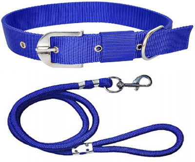 Hundur Store Dog Collar & Leash(Small, Blue)