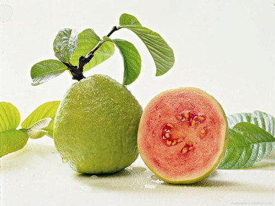 Ukanda Guava Plant(Hybrid, Pack of 1)