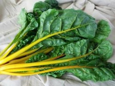 Mozette Swiss Chard Yellow Plant Seed(47 per packet)