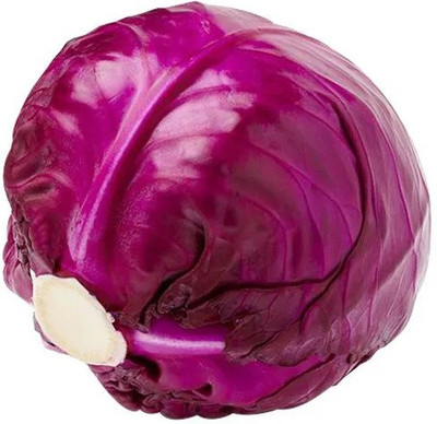 Paudha Cabbage purple plant Seed(25 per packet)