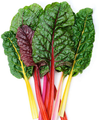 Paudha Swiss Chard Red Plant Seed(11 per packet)