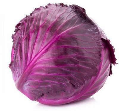 Paudha Cabbage purple plant Seed(11 per packet)