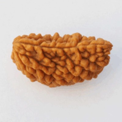 Senroar Ek Mukhi Rudraksha Nepal Wood Pendant