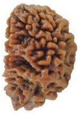 Senroar One Face Rudraksha / 1 Mukhi Nepal Wood Pendant