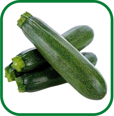 VibeX ® XLR-611 ZUCCHINI -GREEN -SUMMER SQUASH Seed(100 per packet)