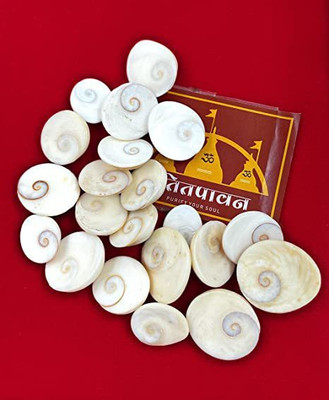 patitpavan Natural and Original Gomti Chakra/ Puja/Diwali(1 cm)(Pack of 21)