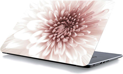 qth NATURAL LAP-5721 VINYL Reusable Laptop Skin Compatible for 15.6 inch(Theme: NA)