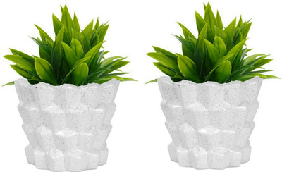 Luminescence Enterprises Ceramic Khajoor Shaped Planter, White Color, Pack Of 2 Plant Container Set(Pack of 2, Ceramic)