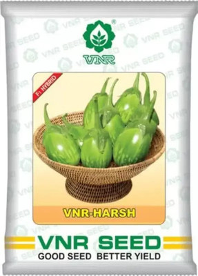 VNR vnr harsh brinjal seeds Seed (100 per packet) Seed(1 per packet)