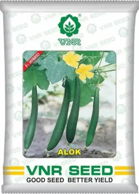 VNR SPONGE GOURD Seed(1 per packet)