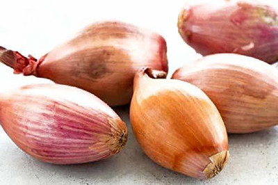 MKR Enterprises Onion Seed(450 per packet)