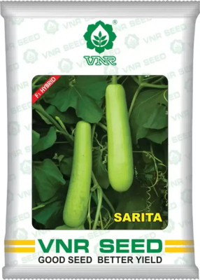 VNR VNR Botti Gourd Sarita F1 HYBRID Seed Seed (50 per packet) Seed(55 per packet)