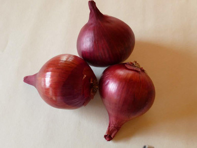 MKR Enterprises Onion Seed(850 per packet)