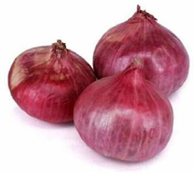 VibeX ® XLR-1003 Red river onion seed Seed(1000 per packet)