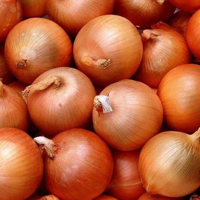 MKR Enterprises Onion Seed(850 per packet)
