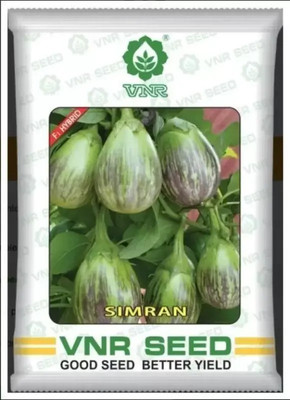 VNR vnr SIMRIN hybrid brinjal Seed (10 g) Seed(1 per packet)