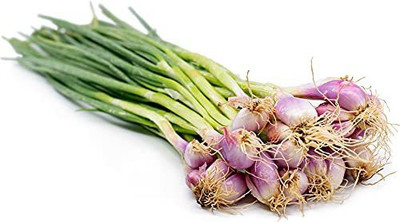 KANAYA Onion Red Kanda Vegetable Seed(20 per packet)